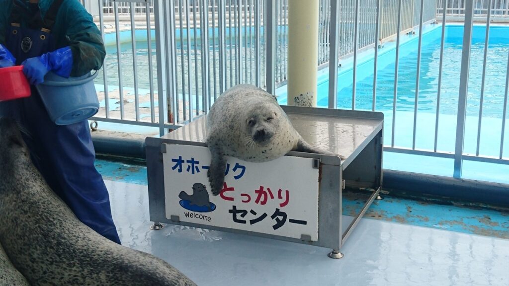 「オホーツクとっかりセンター」ゴマちゃん