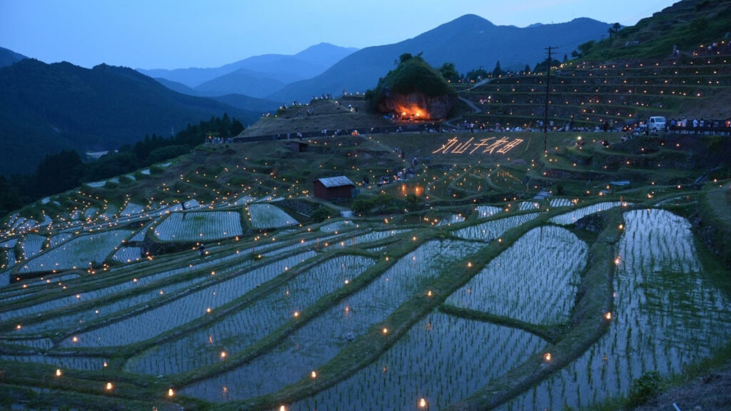 夕刻の「丸山千枚田」