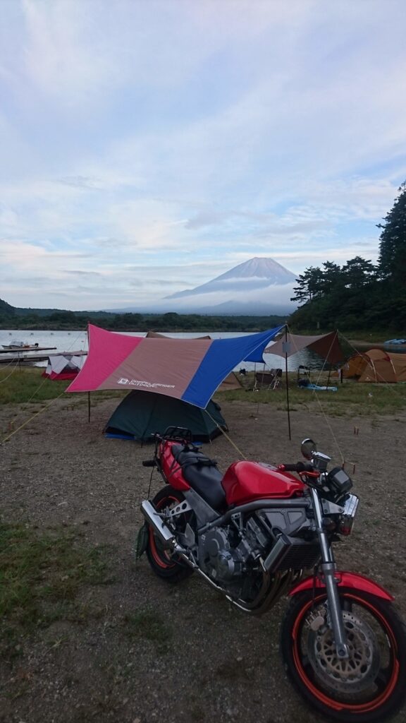 サイトからの富士山