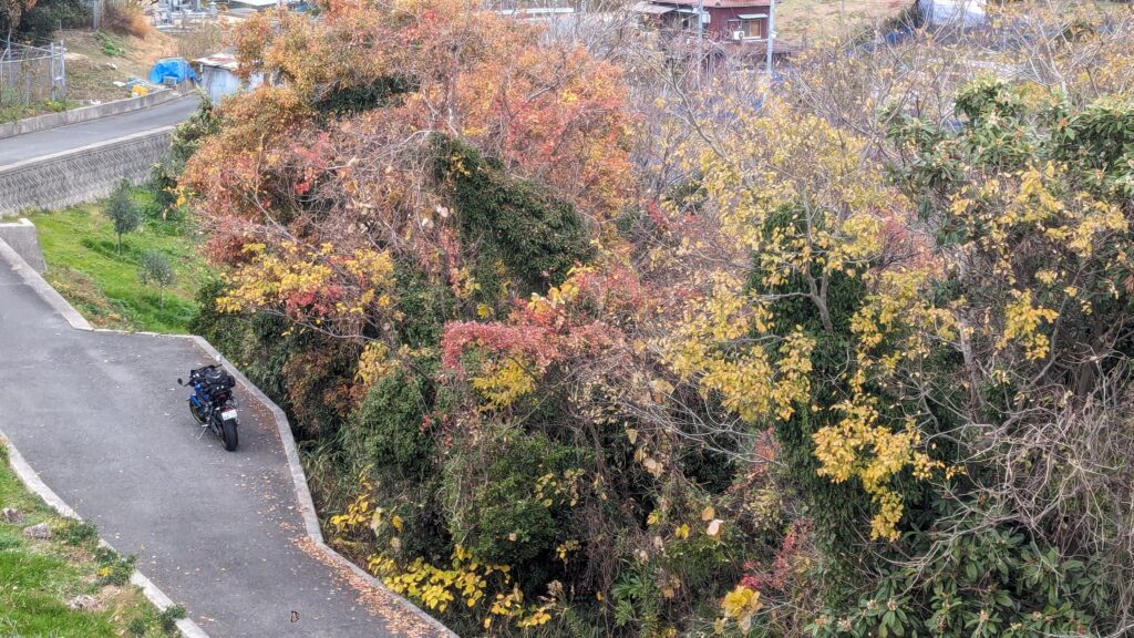 「たぬき山展望台」の眺め
